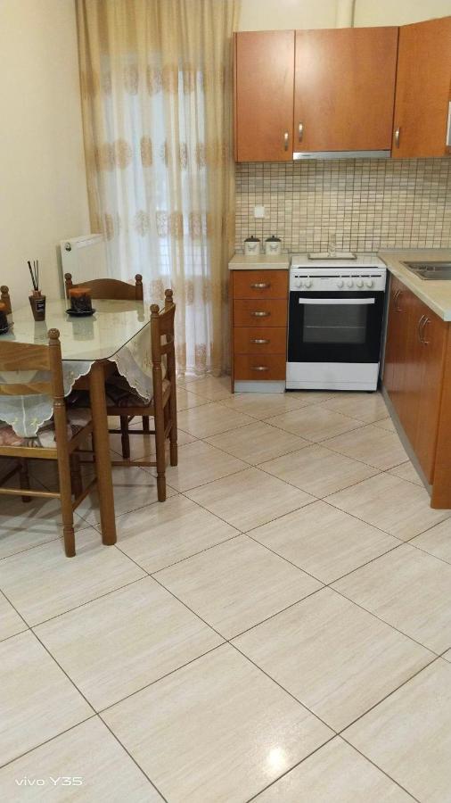 Ομορφο Διαμερισμα Στο Κεντρο Της Πολης Με Παρκιν Apartment Trikala  Ngoại thất bức ảnh